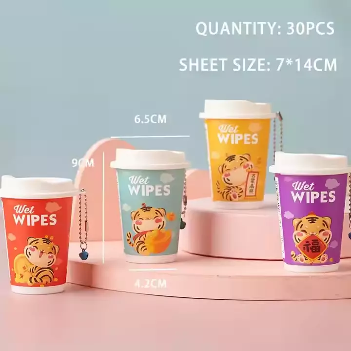 Mini ສາມາດເຊັດປຽກ